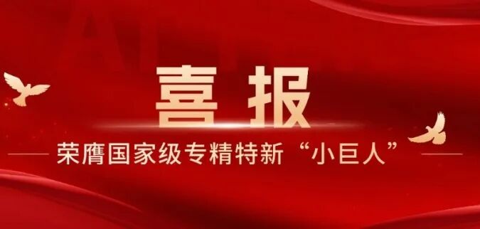 乐鱼体育荣膺国家级专精特新“小巨人”